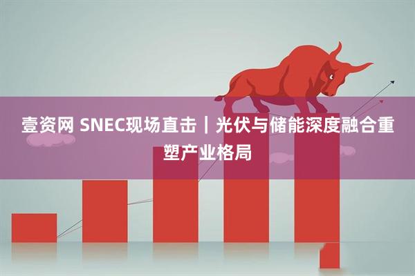 壹资网 SNEC现场直击｜光伏与储能深度融合重塑产业格局