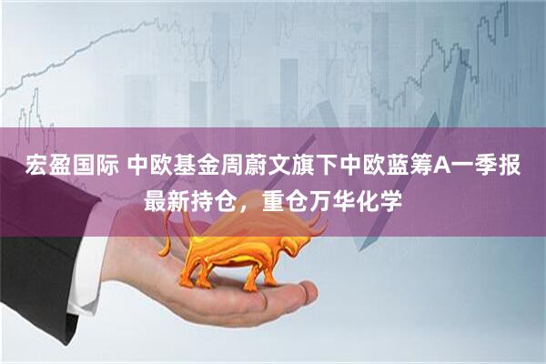 宏盈国际 中欧基金周蔚文旗下中欧蓝筹A一季报最新持仓，重仓万华化学