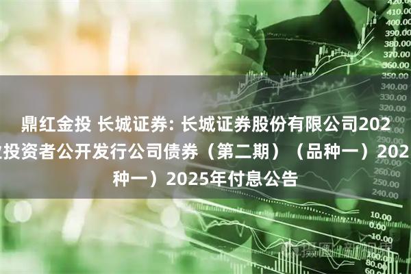 鼎红金投 长城证券: 长城证券股份有限公司2024年面向专业投资者公开发行公司债券（第二期）（品种一）2025年付息公告