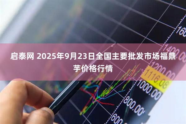 启泰网 2025年9月23日全国主要批发市场福鼎芋价格行情