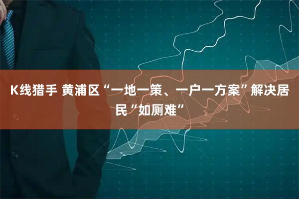 K线猎手 黄浦区“一地一策、一户一方案”解决居民“如厕难”